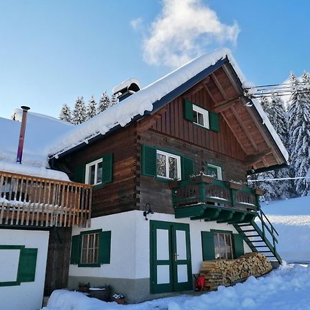 Ferienhaus Asterbach Гозау Экстерьер фото