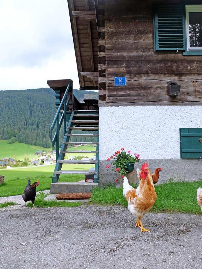 Ferienhaus Asterbach Гозау Экстерьер фото