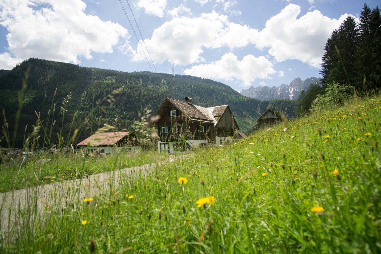 Ferienhaus Asterbach Гозау Экстерьер фото