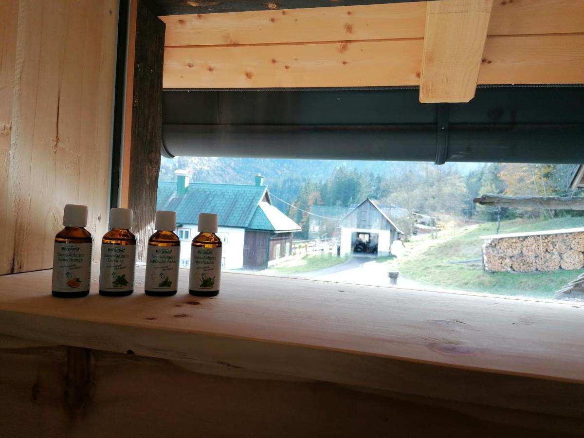 Ferienhaus Asterbach Гозау Экстерьер фото